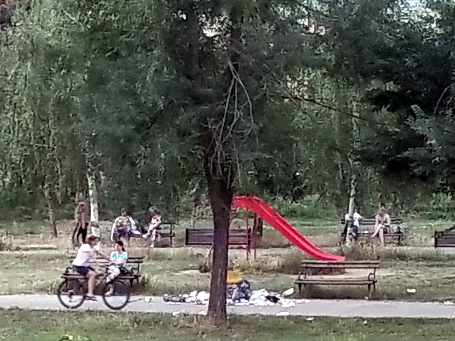 Žale se na smeće u parku, u "Mediani" kažu da je očišćeno 1 Smece u Branka Krsmanovica foto citalac scaled