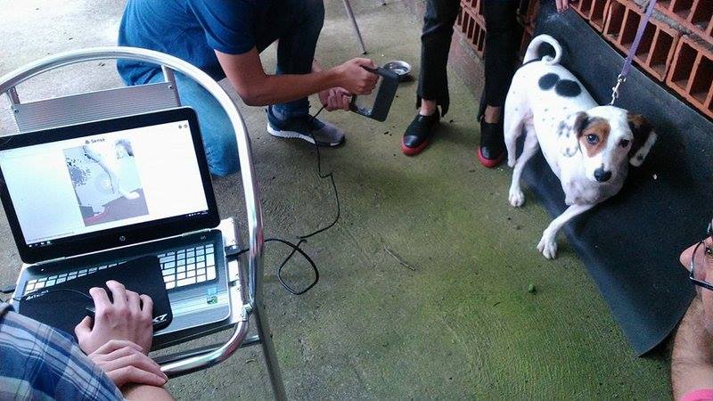 gasa-pas-modelovanje-foto-ja