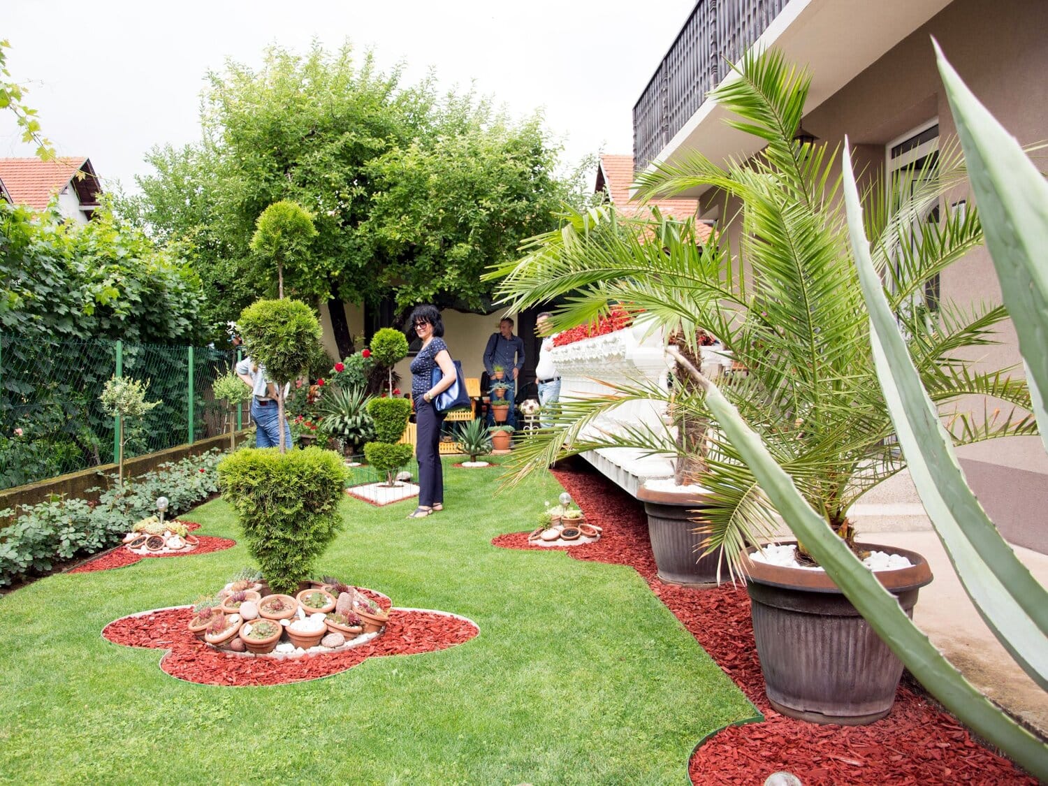 Najlepse dvoriste foto Opstina Medijana