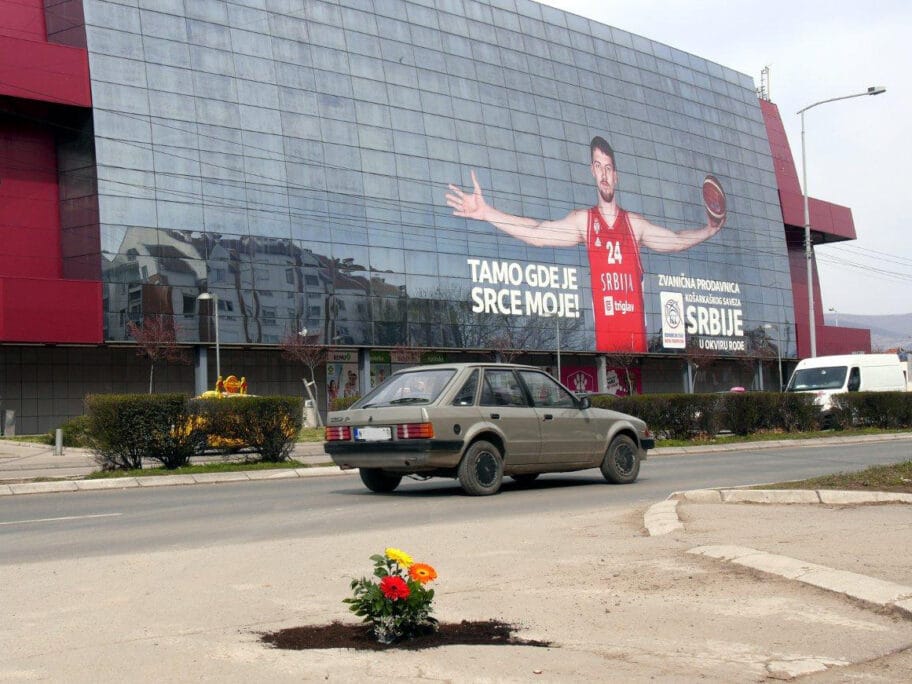 Akcija sađenja cveća u udarne rupe u Nišu 12 udarna rupa cvece2 b r