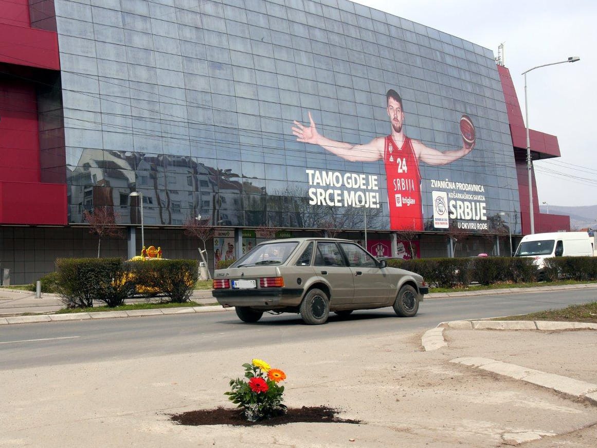 udarna rupa cvece2 b r