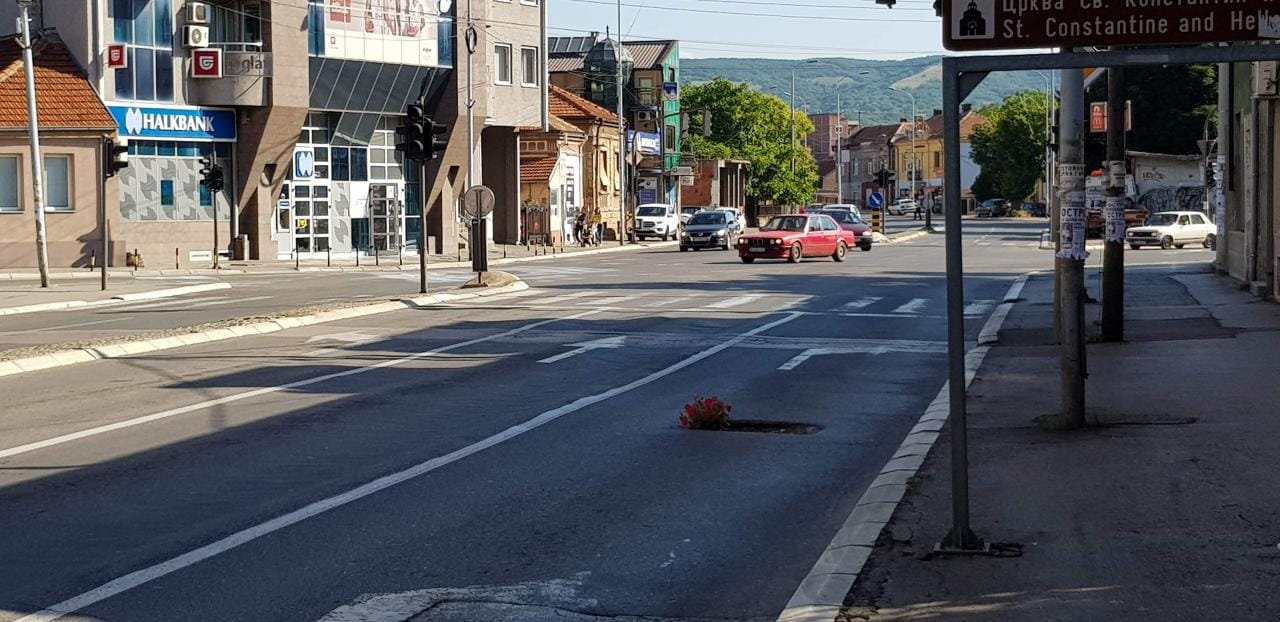 Udarna rupa cvece stefana prvovencanog foto Gradjani Nisa