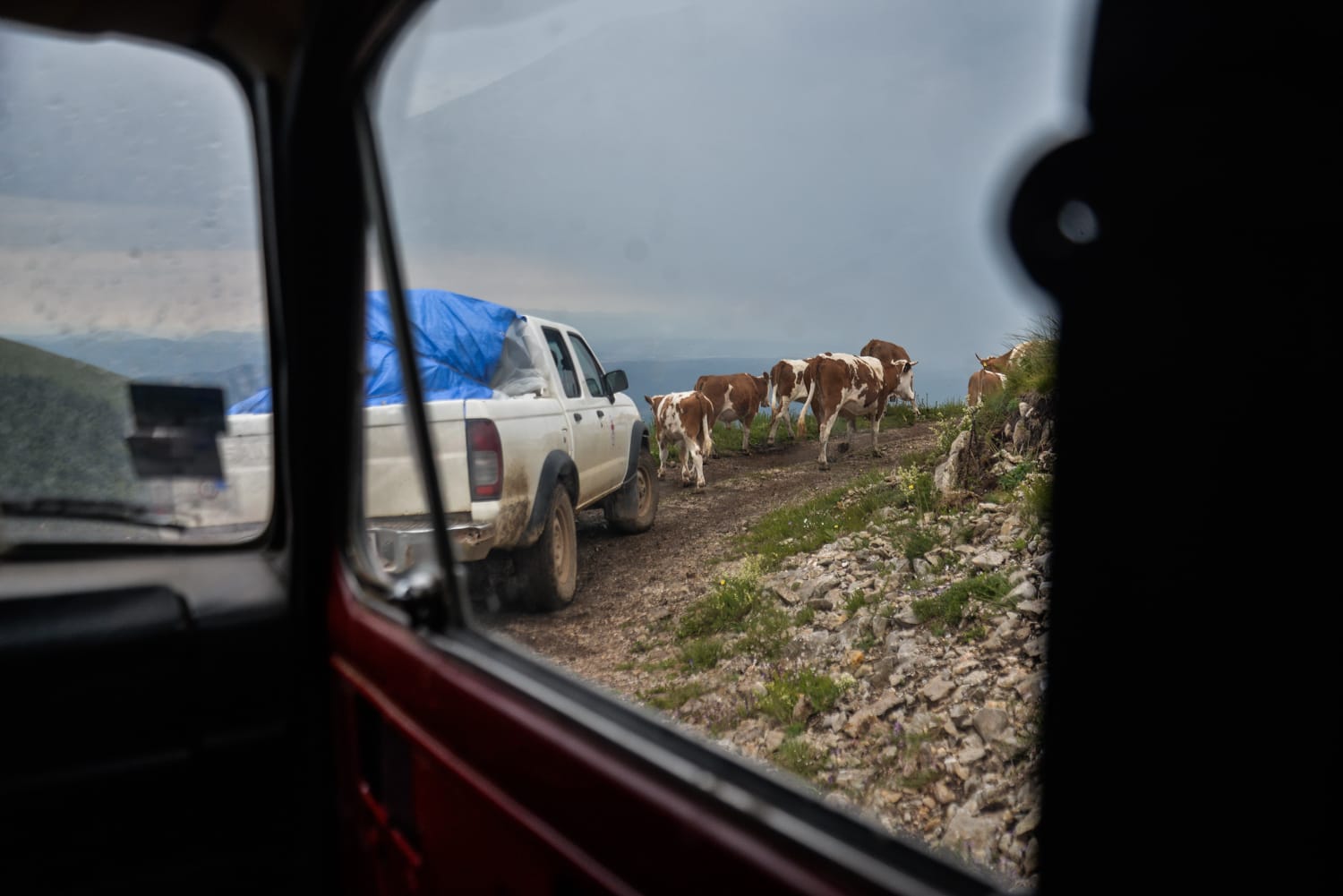 Krave-Suva-planina-V.-Keser