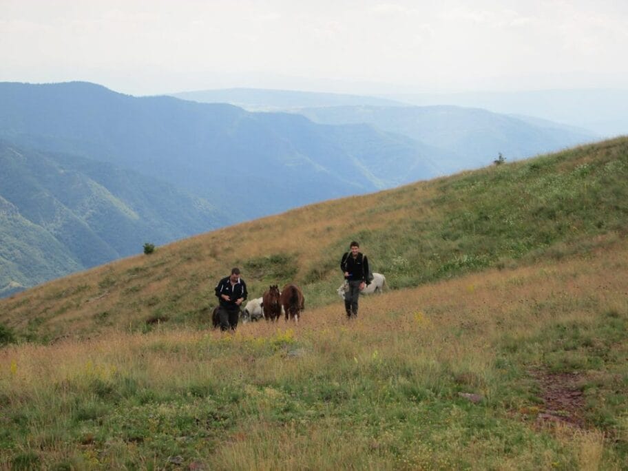 33850884 2046834925340388 981787033754140672 n