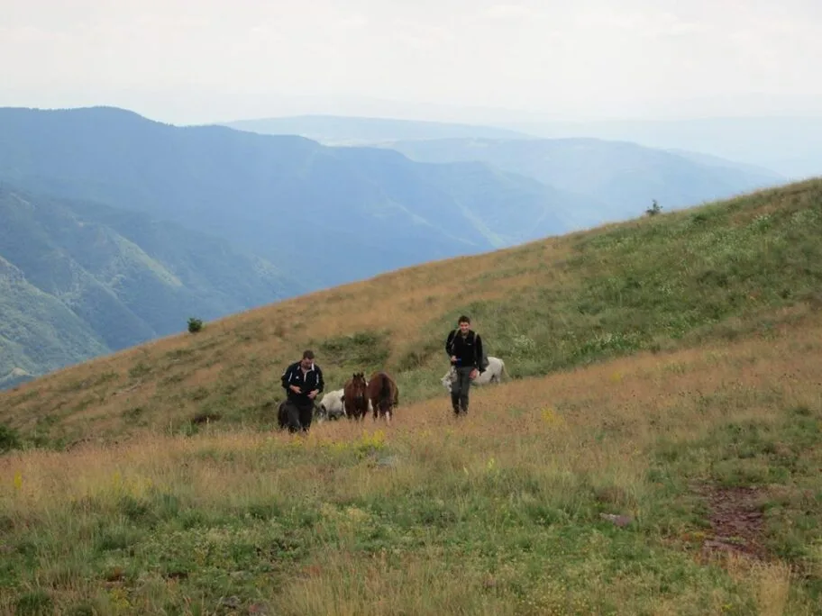 Učenje o življenju u skladu sa prirodom na Staroj planini 16 33850884 2046834925340388 981787033754140672 n