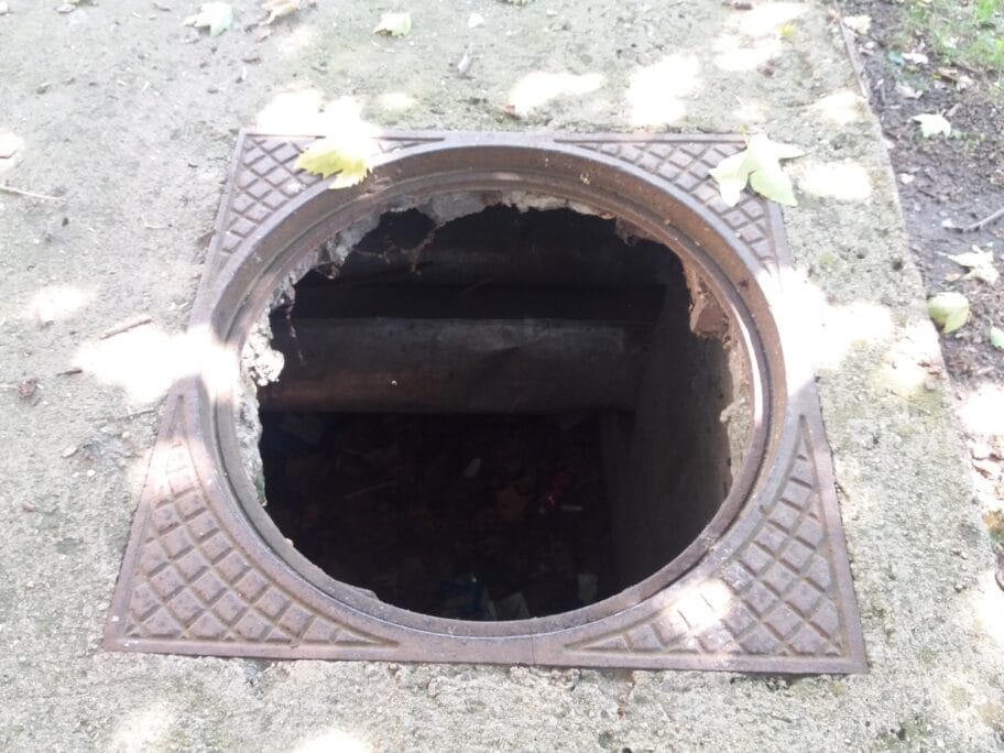 Sahte 3 park centar jul 2018 foto Bojana Antic