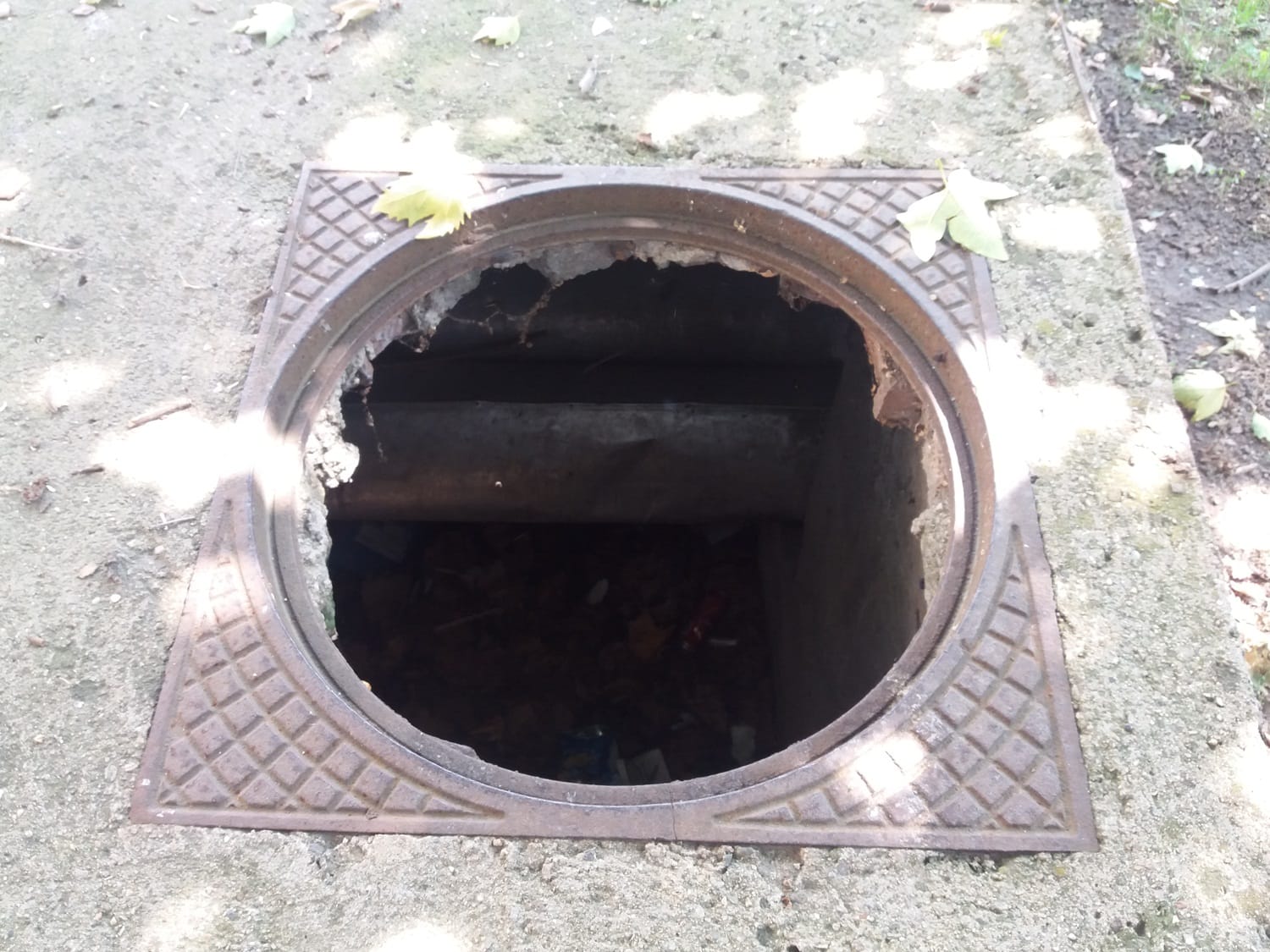 Sahte 3 park centar jul 2018 foto Bojana Antic