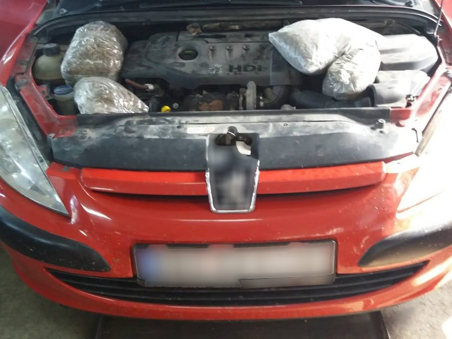 Marihuana Pezo foto MUP