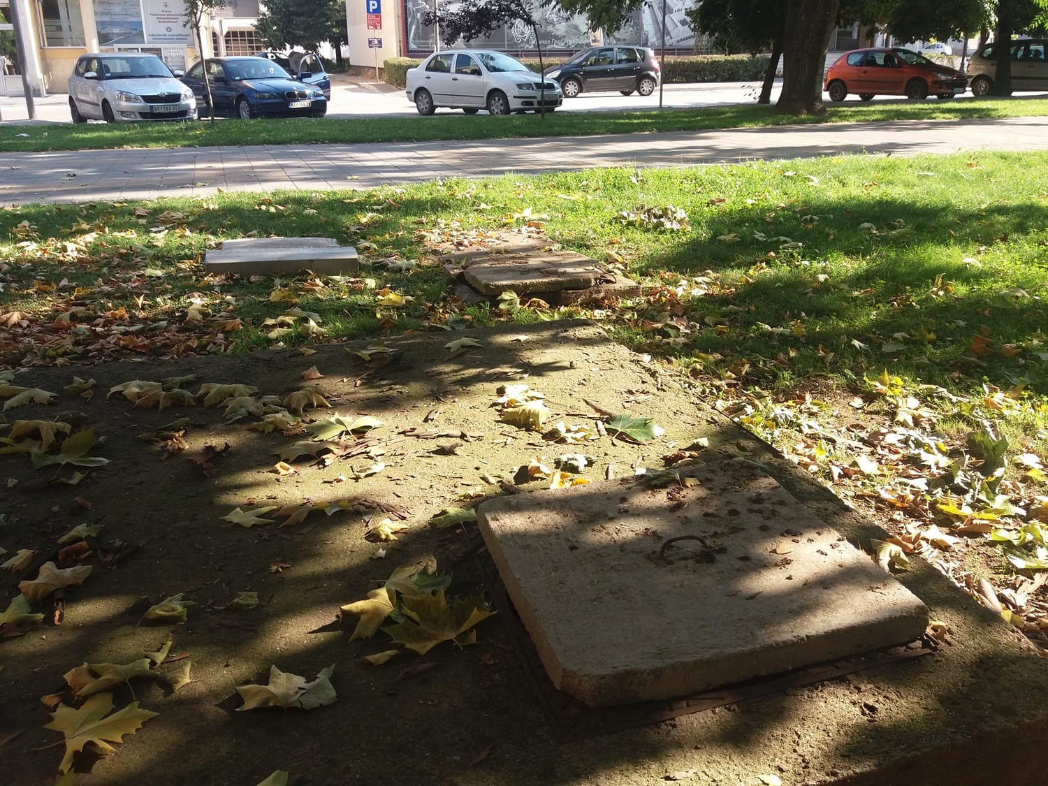 Sahte 2 park Leskovac jul 2018 foto Bojana Antic