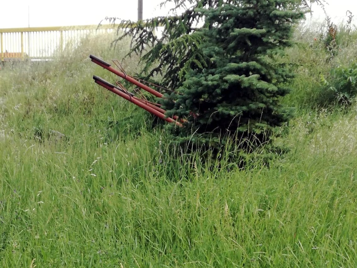 Klackalice-u-travi;-foto:-čitalac