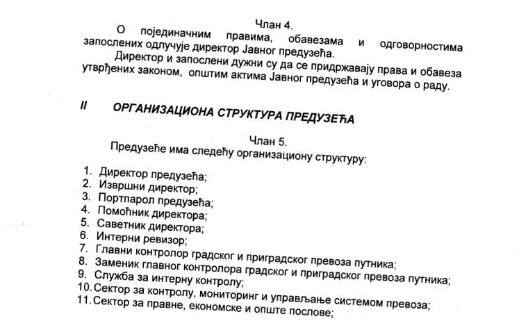 Organizaciona-struktura;-foto:-printskrin