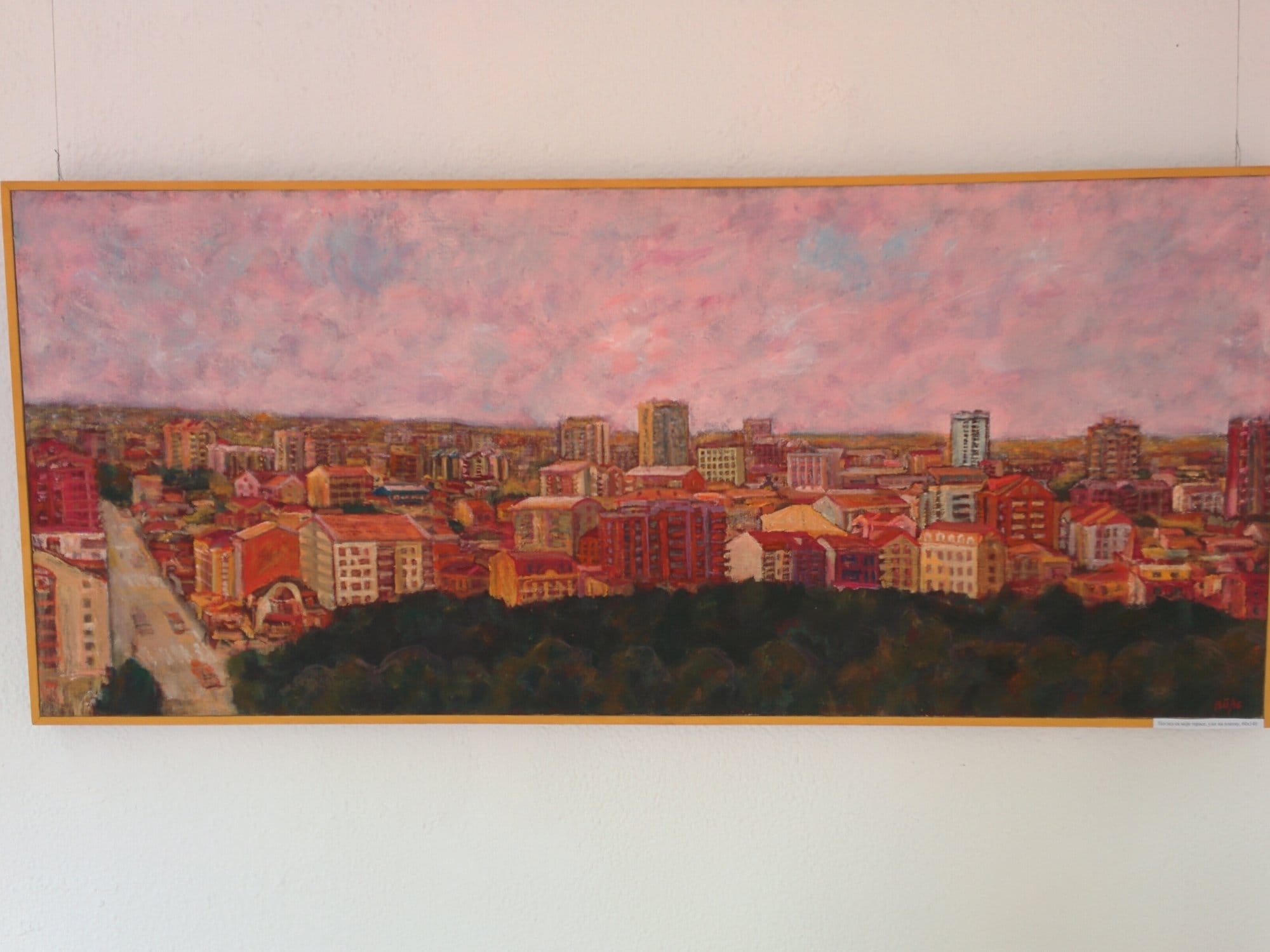 Izlozba Velimir Popovic foto NKC