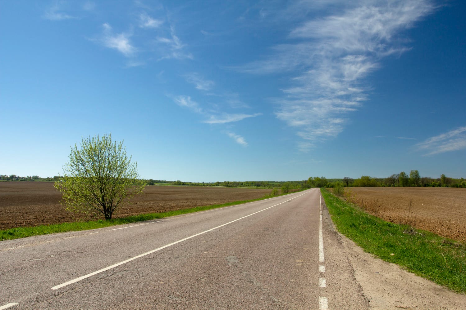 28201856958 21401db48d k