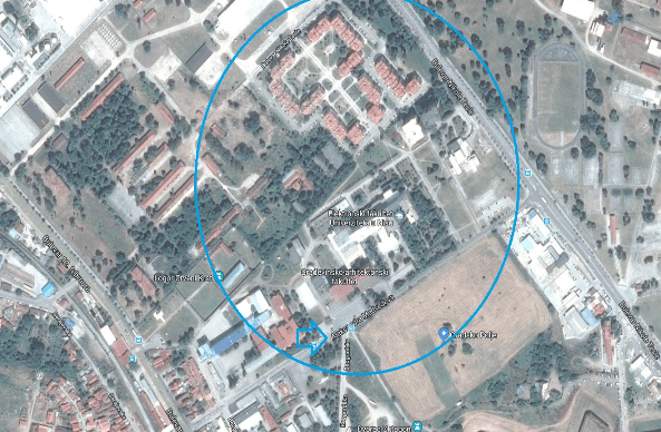 aleksandra medvedeva