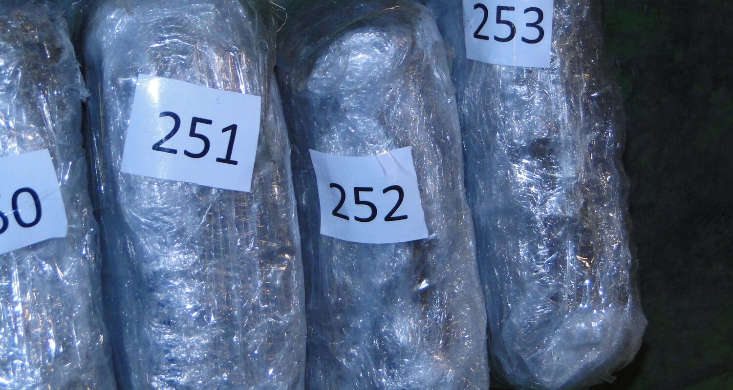 marihuana2-dimitrovgrad-foto-mup