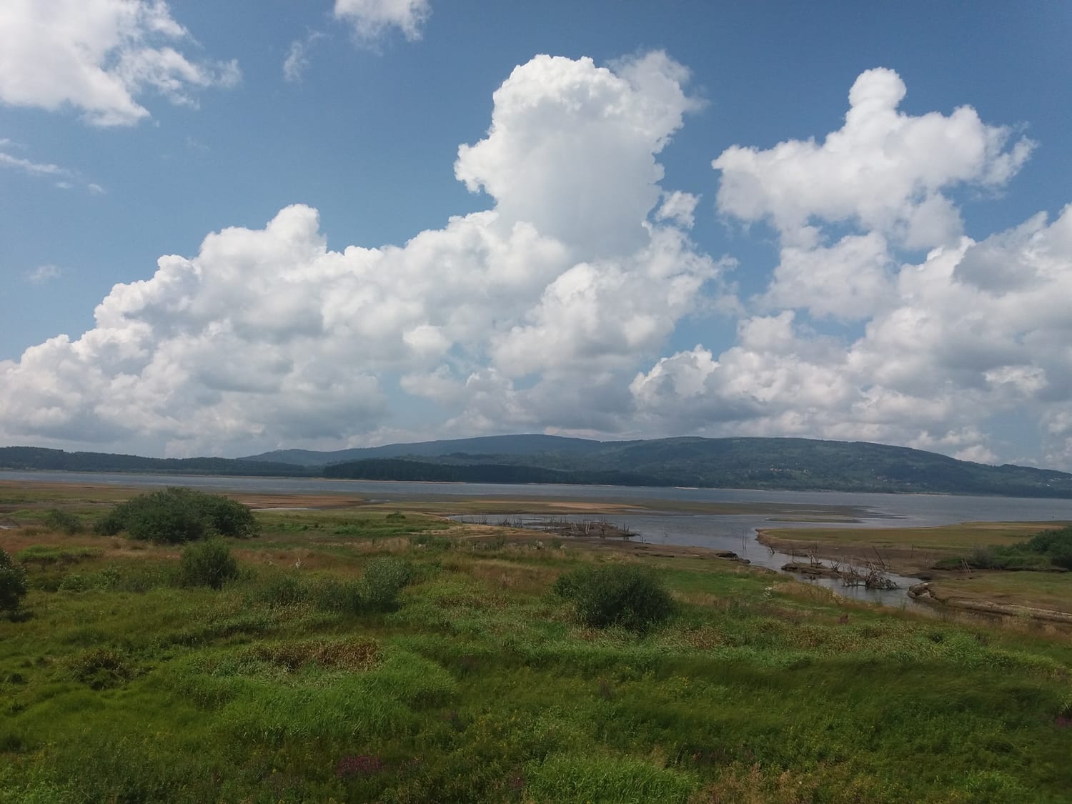 Vlasinsko-jeyero,-jul-2018,-foto-Bojana-Antić