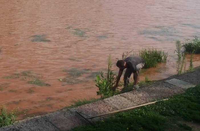 ciscenje-kosine-foto-jkpmediana