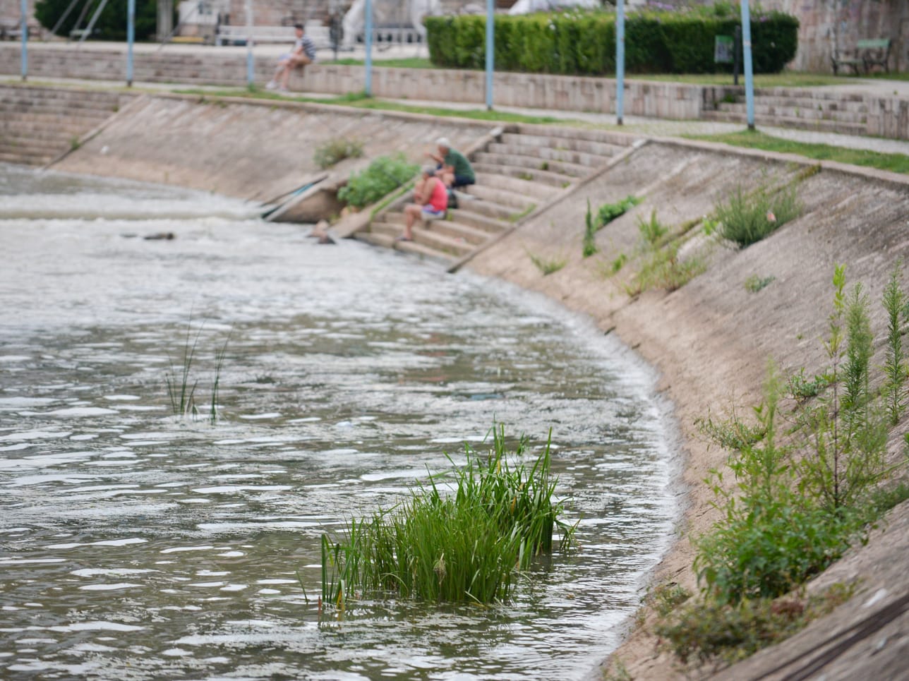 zelenilo kej3 foto vkeser