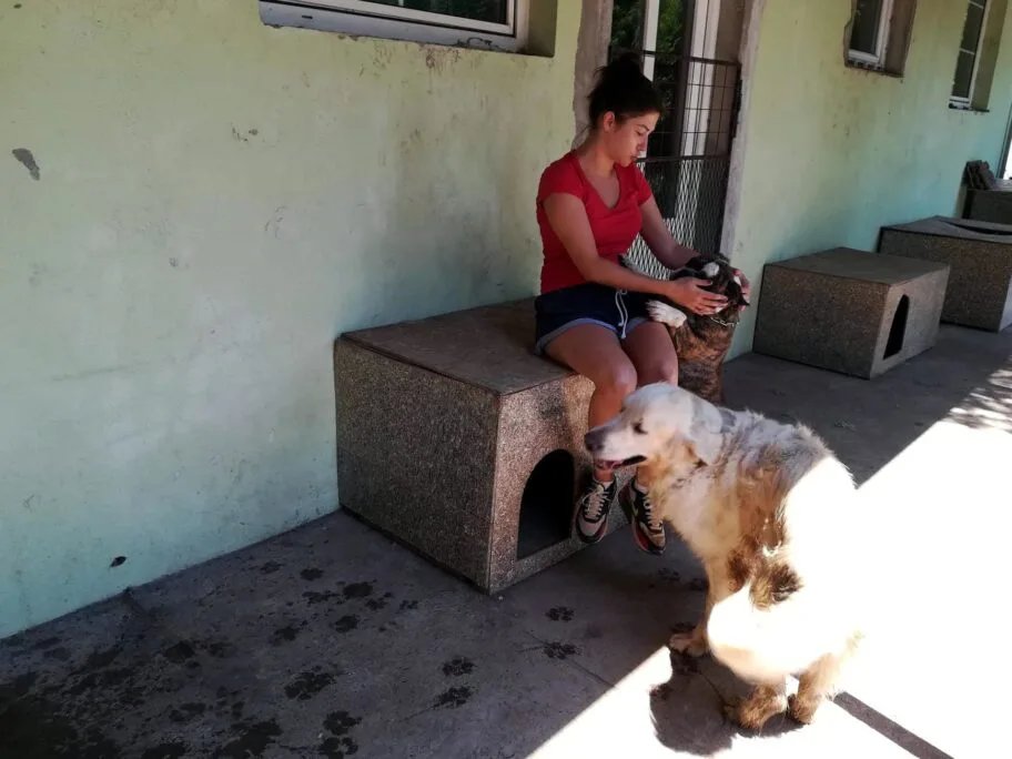 Pansion za pse u Konjickom klubu 1 foto JV J A