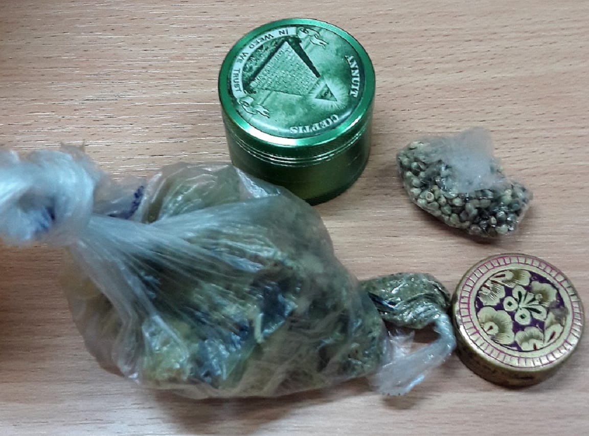 04 08 Marihuana i konoplja