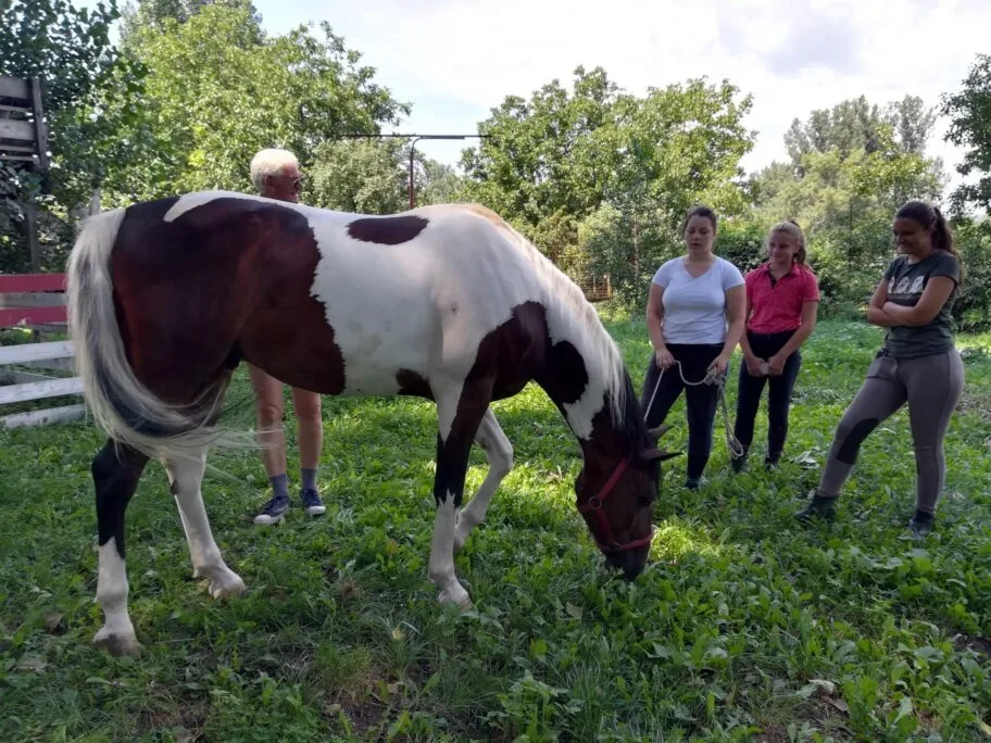 Konjicki klub Cegar avgust 2018 foto JV J A