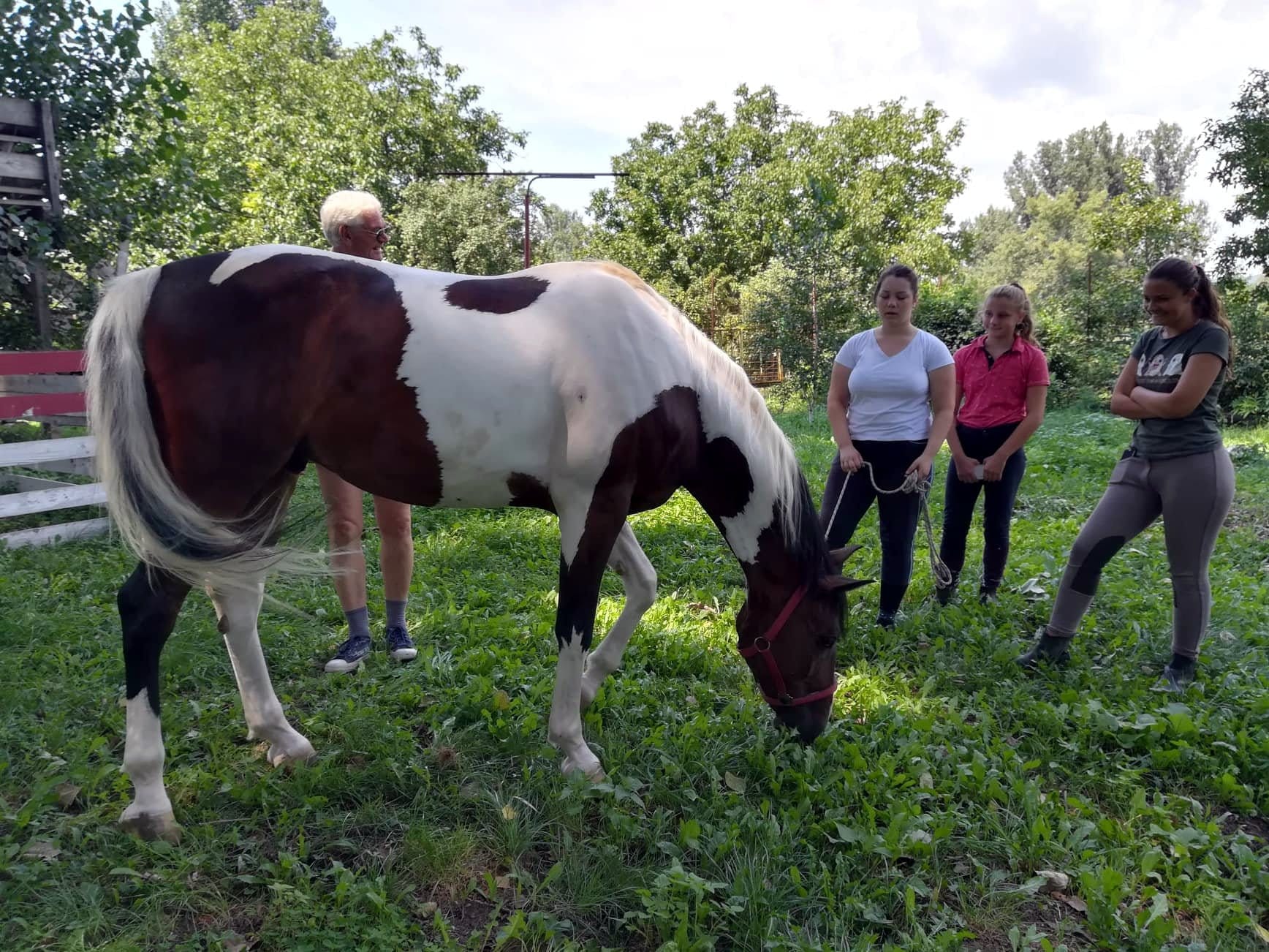 Konjicki klub Cegar avgust 2018 foto JV J A
