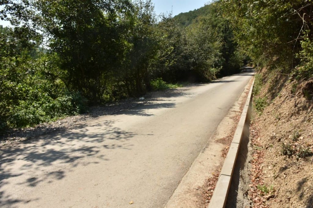 Put Vidriste foto ni rs