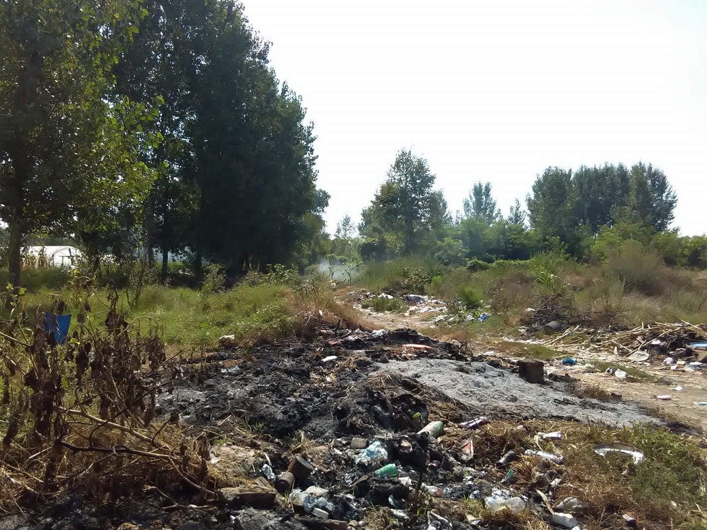 Smece Vlasotince 3 avgust 2018 foto A S jpg2984