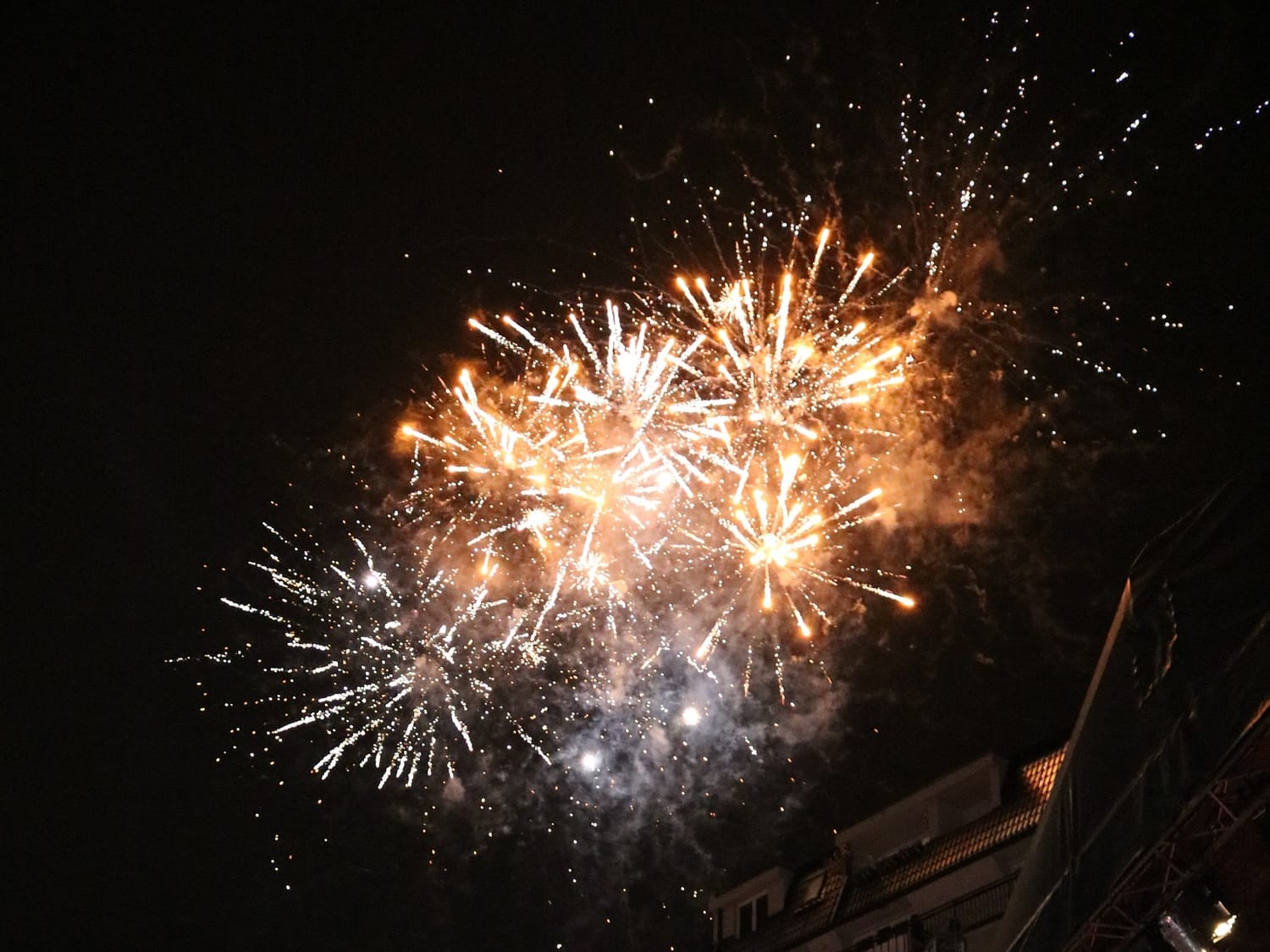 Rostiljijada avgust 2018 foto Jana Gligorijevic