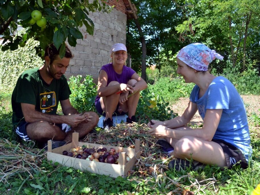 Prezentacija međunarodnih volonterskih kampova u EU info kutku 2 Summer Toponica foto Fejsbuk Grupa Kobra