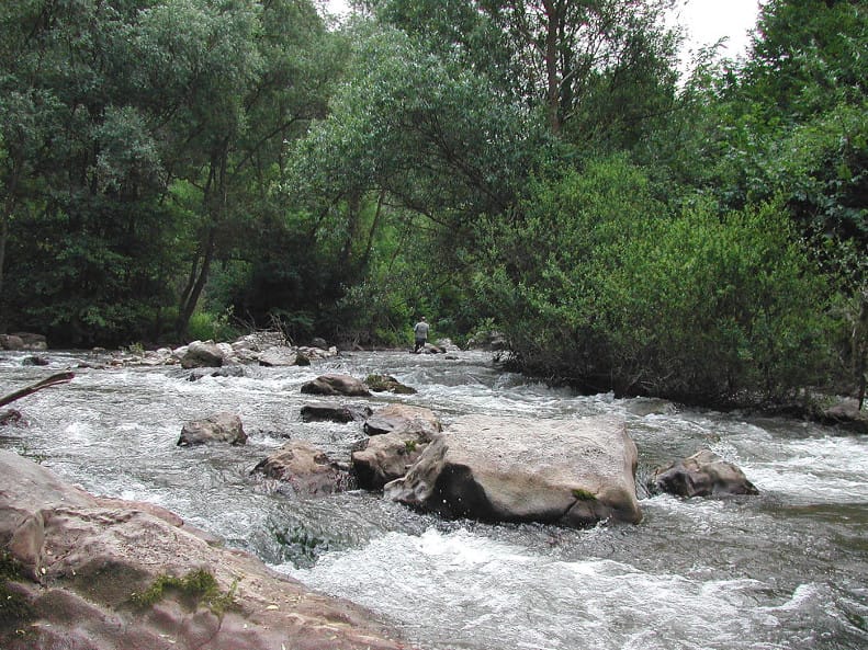 Bez mini-hidroelektrana na Jermi i njenim pritokama 15 Jerma3