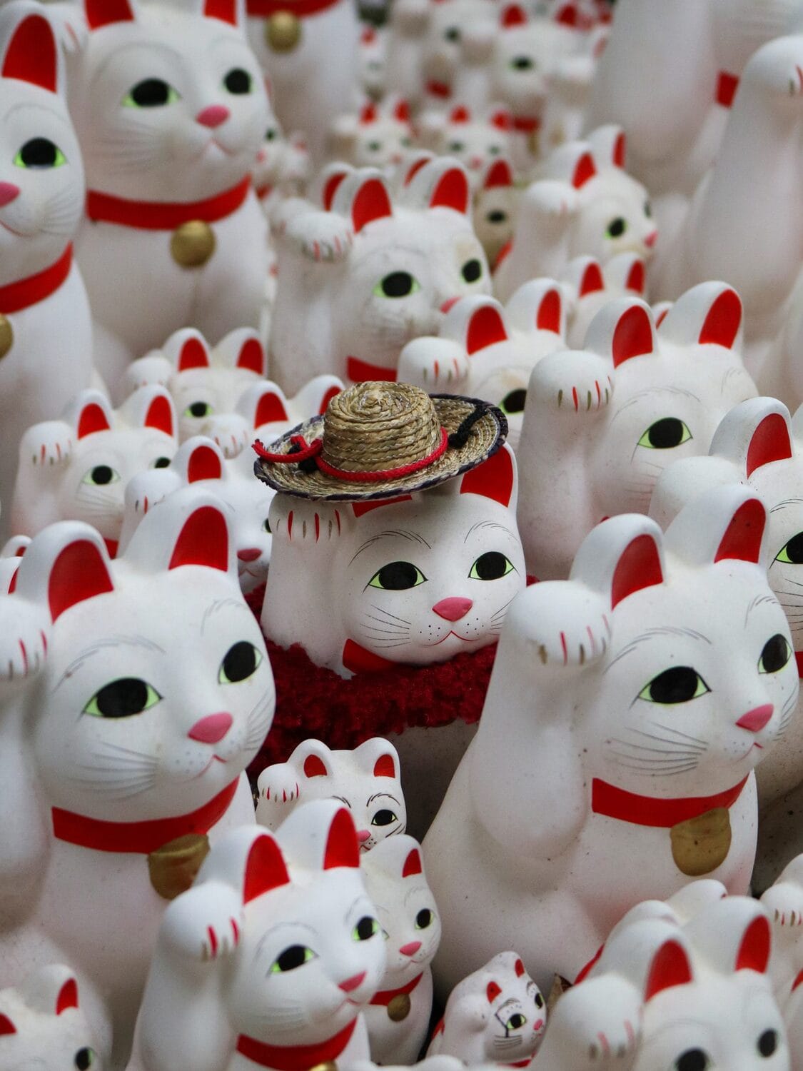 Izlozba Japan jun 2018 foto Jana Gligorijevic scaled