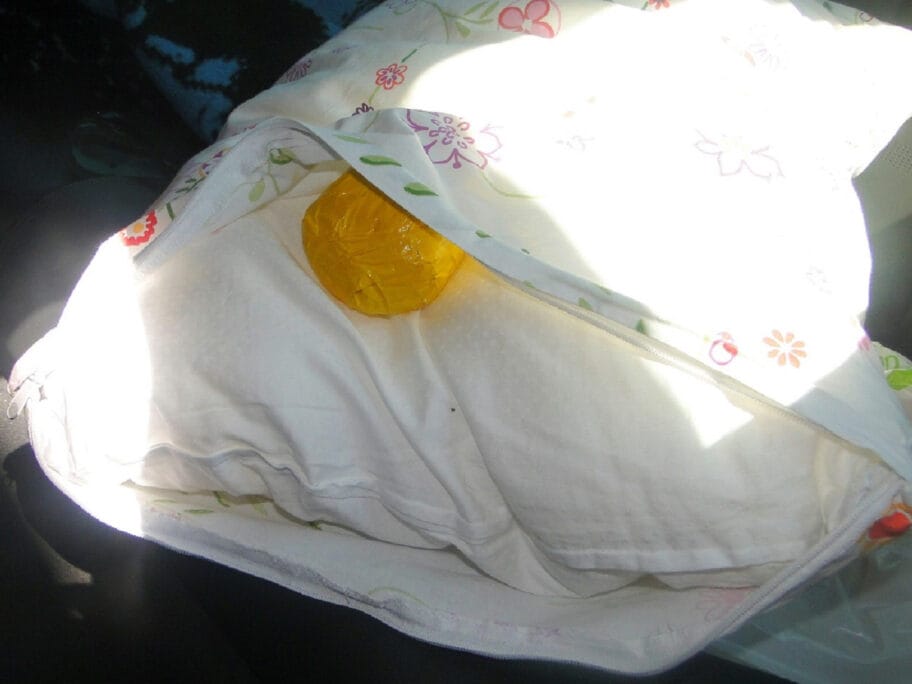 Marihuana u jastuku 31 08 2018 Gradina