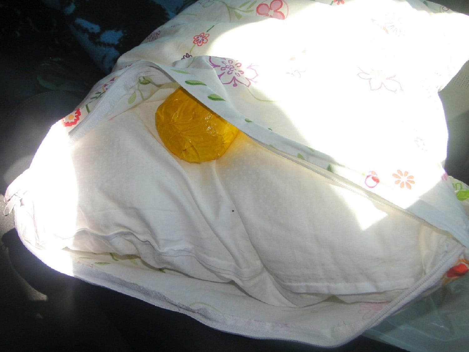 Marihuana u jastuku 31 08 2018 Gradina