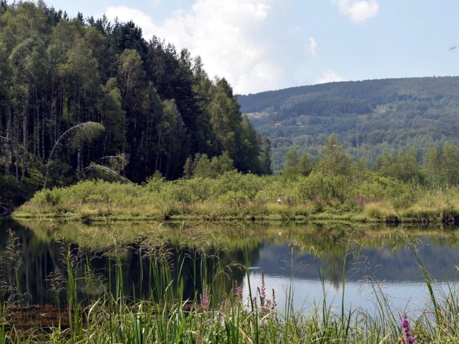 Akcija "Svi u prirodu" vodi na Vlasinu 4 Vlasina foto wikimedia Ksenija Bogdanovic scaled