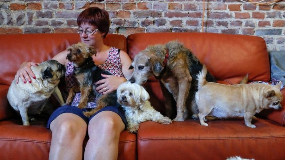 102984834 2654a626 c5dc 4152 9357 24db3d04a169