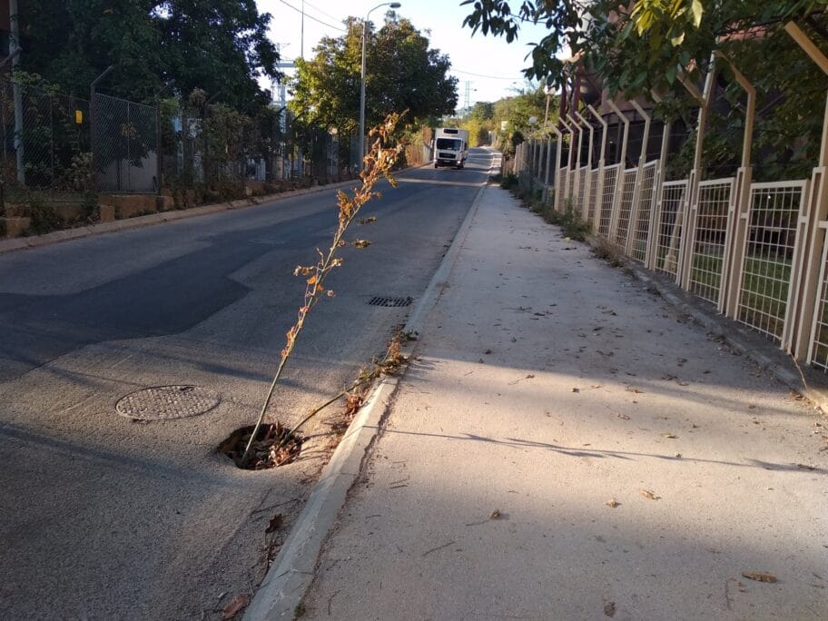 Udarna rupa Pivara foto Prijavi problem