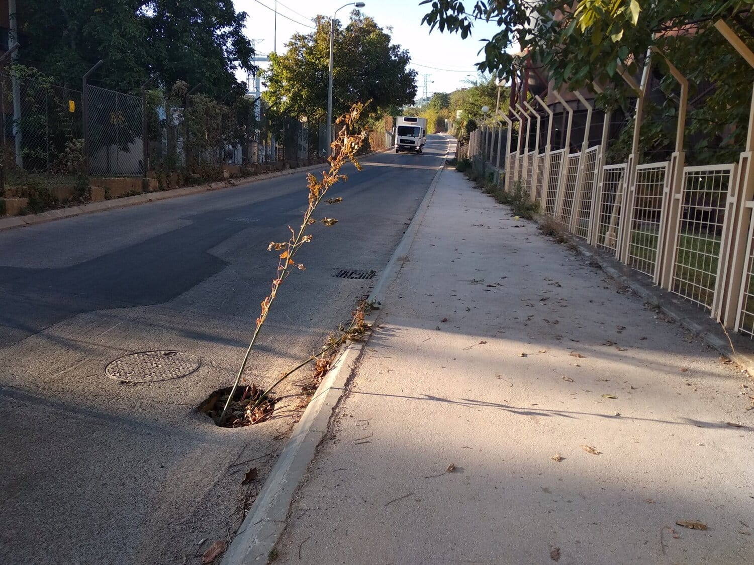 Udarna rupa Pivara foto Prijavi problem