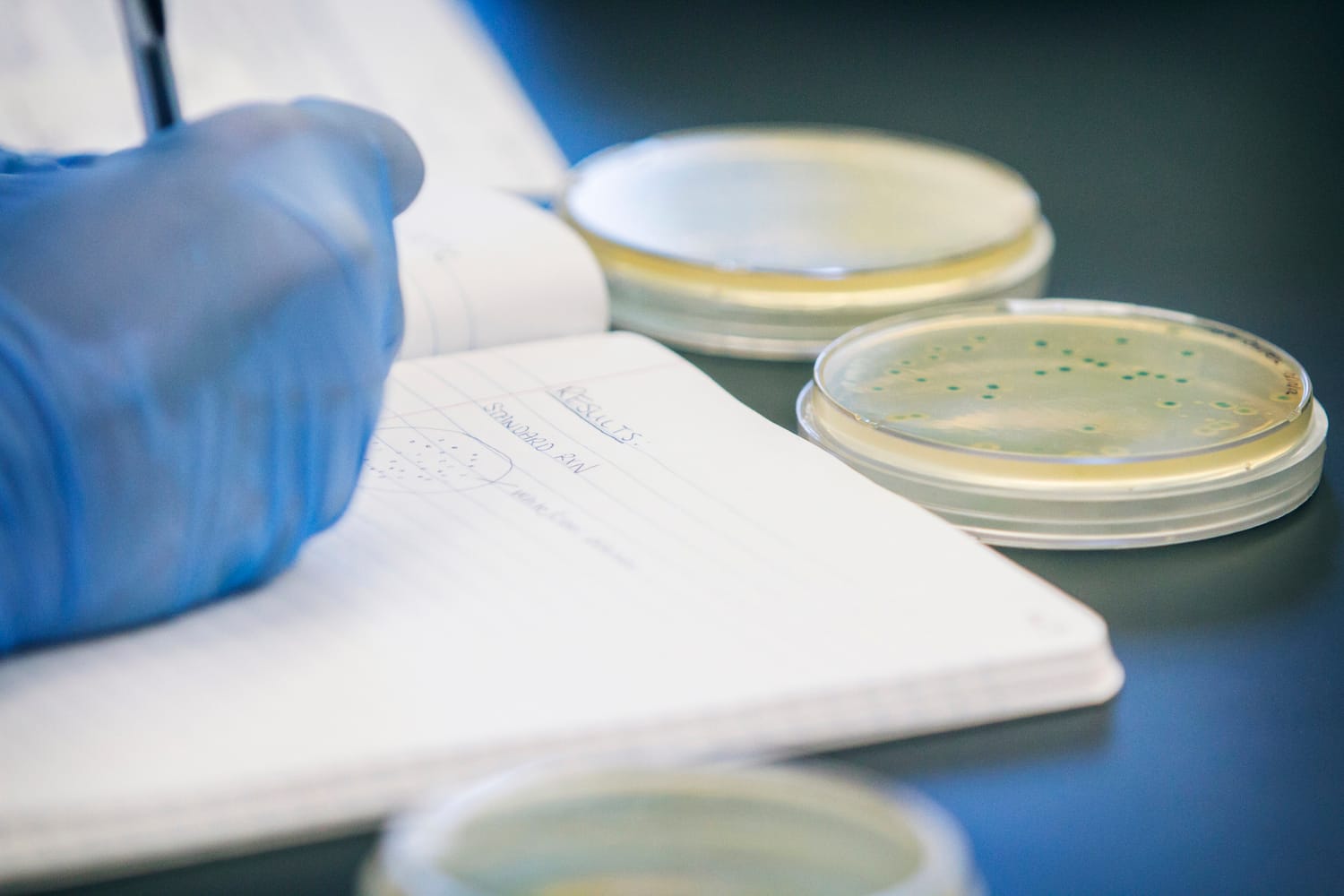 nauka2-foto-flickr-HagerstownCommunityCollege