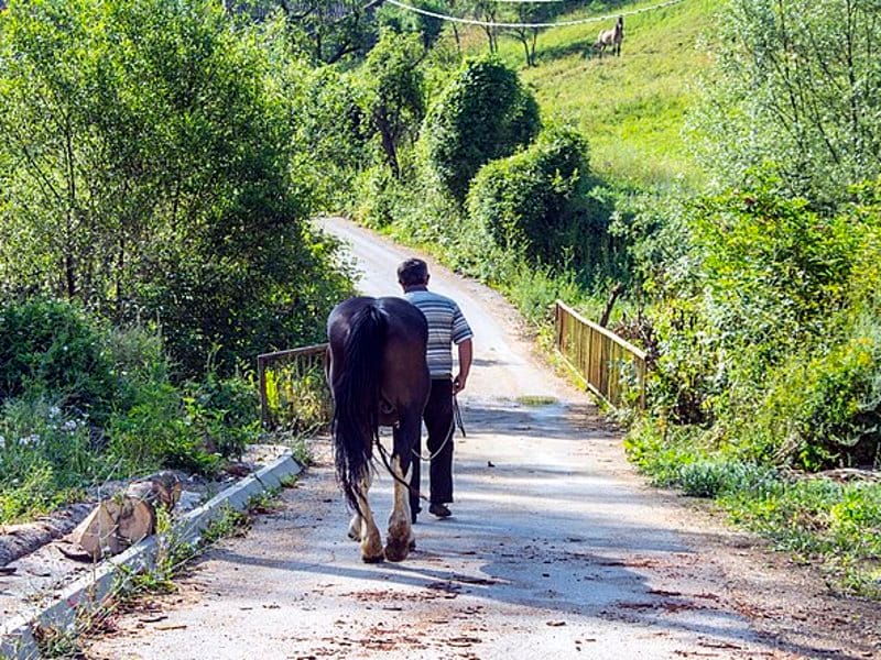 Agroturizam-ilustracija-foto-wikimedia-DjordjeMarkovic