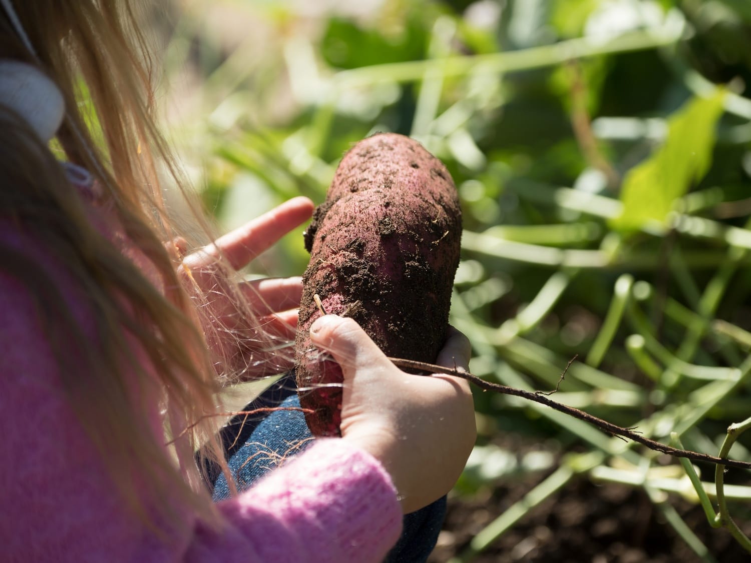Agroturizam - šansa da zažive seoska domaćinstva 1 Agroturizam ilustracija flickr U S Department of Agriculture