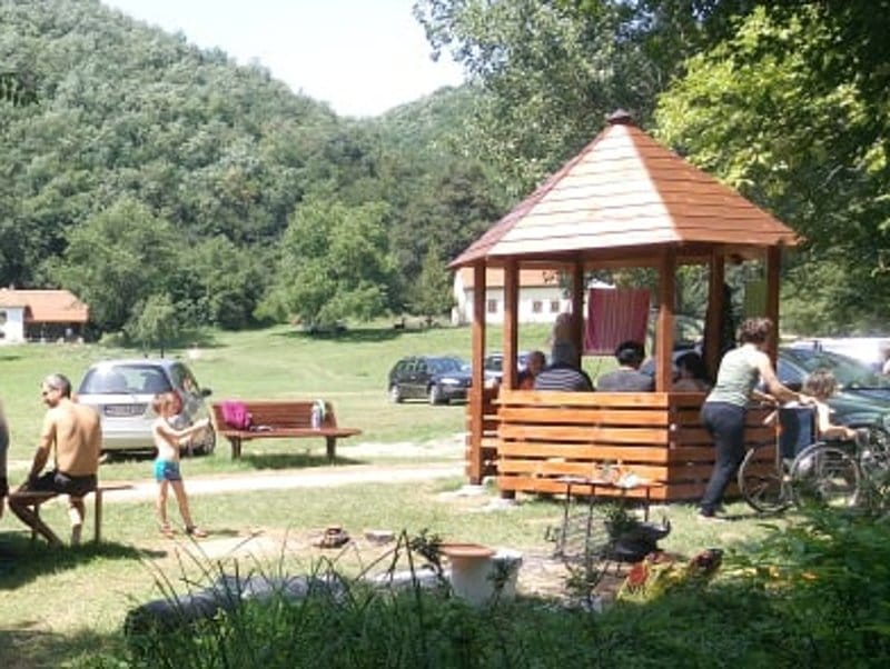 Vidriste venjaci V M