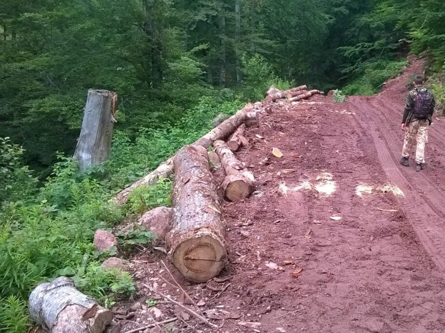 seca sume foto Udruzenje Temska