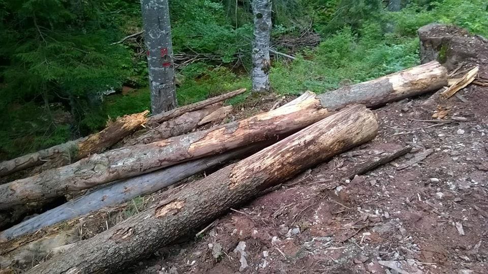 Arbinje Stara planina foto udruzenje Temska