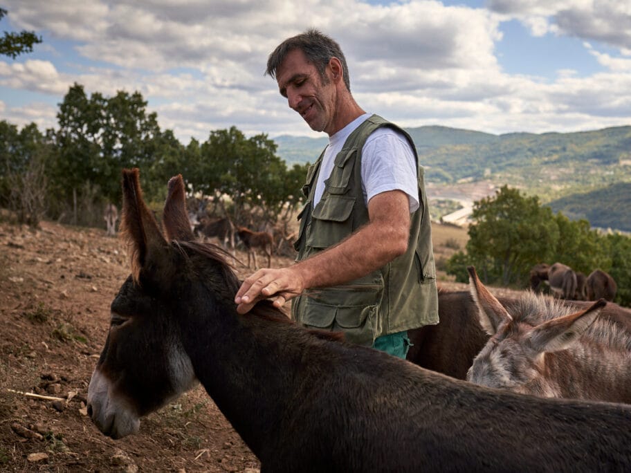Čuvaju rasu balkanskog magarca od izumiranja i pakuju mleko koje leči 17 magarici ivanov fptp S DJ