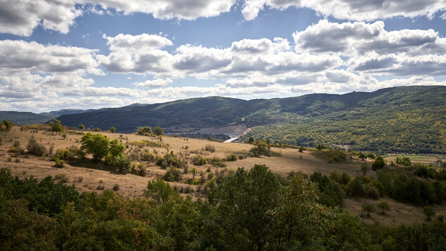 magarici-foto3-S.-Dj