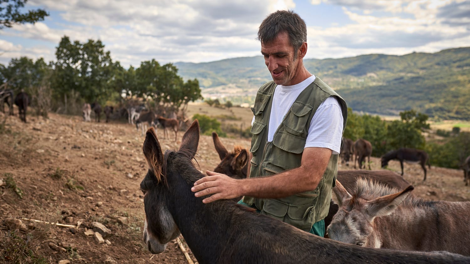 magarici-foto6-S.-Dj