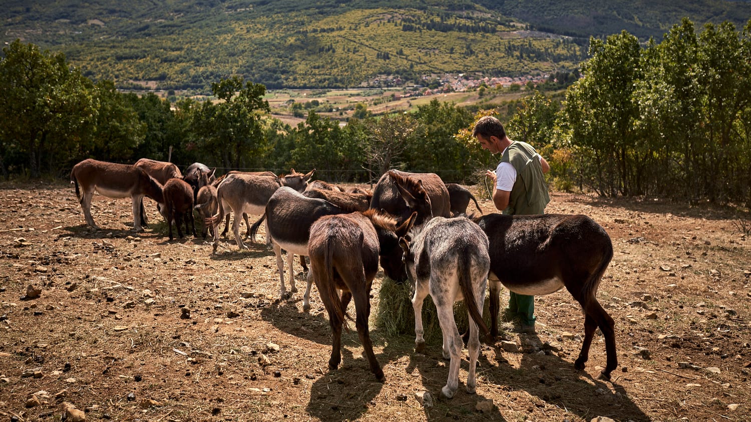 magarici-foto11-S.-Dj