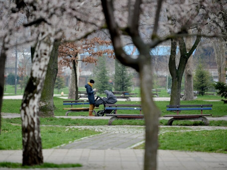 U Nišu mame najavile protest zbog novog zakona 16 ena sa kolicima foto Vanja Keser