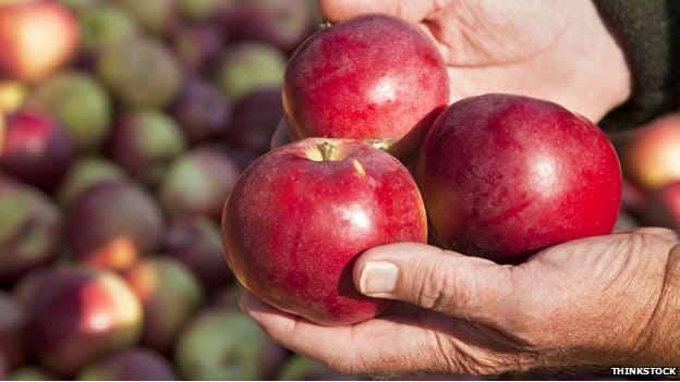 Prodaje se voćnjak u Kanadi zbog kog je nastao logo Epla 16 103787597 177261312